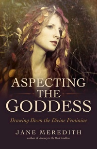 Enlarge image Cover: Aspecting the Goddess - Moon Books