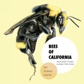 Cover: Bees of California - SymbioStudio