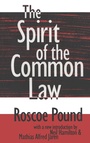 Cover: The Spirit of the Common Law - Routledge