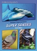 Cover: Super Senses - Red Chair Press