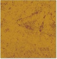 Enlarge image Cover: And Time Folds - Mack