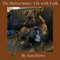 Cover: The Shelter Series - Pen It! Publications, LLC