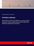 Cover: Primitive Industry - Hansebooks