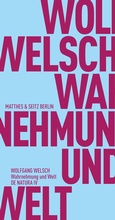 Cover: Wahrnehmung und Welt - Matthes & Seitz Berlin