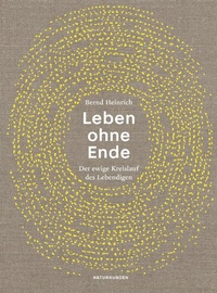 Abbildung von: Leben ohne Ende - Matthes & Seitz Berlin