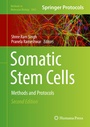 Cover: Somatic Stem Cells - Humana