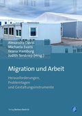 Cover: Migration und Arbeit - Verlag Barbara Budrich