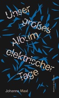 Cover: Unser gro&szlig;es Album elektrischer Tage - Matthes & Seitz Berlin