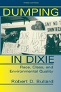 Cover: Dumping In Dixie - Routledge