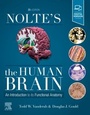 Bild: Nolte's The Human Brain - Elsevier
