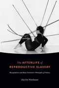 Cover: The Afterlife of Reproductive Slavery - Duke University Press