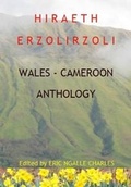Cover: Hiraeth Erzolirzoli - Hafan Books