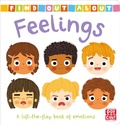 Cover: Find Out About: Feelings - Pat-a-Cake