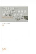 Cover: Aziz Nesin Saliha Scheinhardt Mektuplasmalari Bozkir Firtinasi Mektuplar III - Nesin Yayinevi