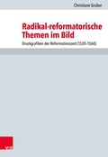 Cover: Radikal-reformatorische Themen im Bild - Vandenhoeck & Ruprecht