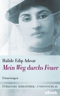 Cover: Mein Weg durchs Feuer - Unionsverlag