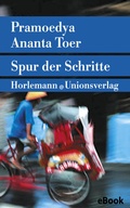 Cover: Spur der Schritte - Unionsverlag