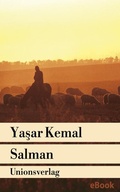 Cover: Salman - Unionsverlag