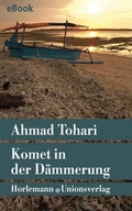 Cover: Komet in der D&auml;mmerung - Unionsverlag