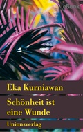 Cover: Sch&ouml;nheit ist eine Wunde - Unionsverlag