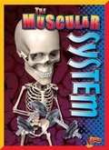Cover: The Muscular System - Bolt