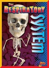 Enlarge image Cover: The Respiratory System - Bolt