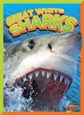 Cover: Great White Sharks - Bolt