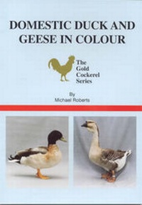 Abbildung von: Domestic Duck and Geese in Colour - Gold Cockerel Books