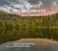 Cover: Die Sch&ouml;nheit des Augenblicks - S&uuml;dOst