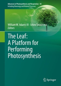 Abbildung von: The Leaf: A Platform for Performing Photosynthesis - Springer