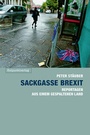 Cover: Sackgasse Brexit - Rotpunktverlag