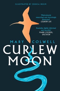 Enlarge image Cover: Curlew Moon - William Collins