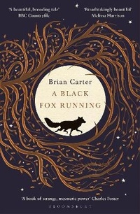 Enlarge image Cover: A Black Fox Running - Bloomsbury Publishing PLC