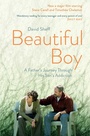 Cover: Beautiful Boy - Scribner UK
