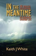 Cover: In the Meantime - Wtl Publications Limited