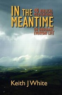 Enlarge image Cover: In the Meantime - Wtl Publications Limited