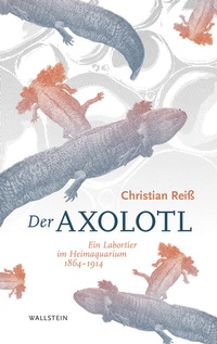 Abbildung von: Der Axolotl - Wallstein
