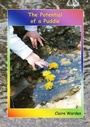 Cover: The Potential of a Puddle - Mindstretchers