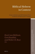 Cover: Biblical Hebrew in Context - Brill