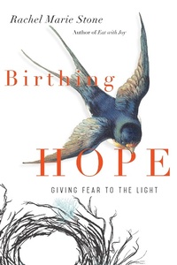 Enlarge image Cover: Birthing Hope - IVP Books