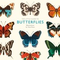 Cover: The Little Guide to Butterflies - QUADRILLE PUBLISHING