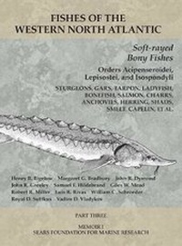 Abbildung von: Soft-rayed Bony Fishes: Orders Acipenseroidei, Lepisostei, and Isospondyli - Peabody Museum of Natural History, Yale University