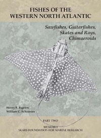 Abbildung von: Sawfishes, Guitarfishes, Skates and Rays, Chimaeroids - Peabody Museum of Natural History, Yale University