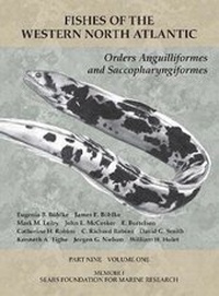 Abbildung von: Orders Anguilliformes and Saccopharyngiformes - Peabody Museum of Natural History, Yale University