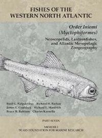 Abbildung von: Order Iniomi (Myctophiformes) - Peabody Museum of Natural History, Yale University