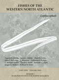 Cover: Leptocephali - Peabody Museum of Natural History, Yale University