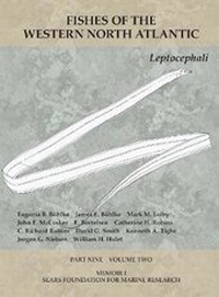 Abbildung von: Leptocephali - Peabody Museum of Natural History, Yale University