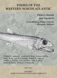 Abbildung von: Orders Iniomi and Lyomeri - Peabody Museum of Natural History, Yale University