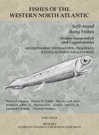 Abbildung von: Soft-rayed Bony Fishes: Orders Isospondyli and Giganturoidei - Peabody Museum of Natural History, Yale University