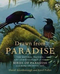 Cover: Drawn from Paradise - HarperCollins